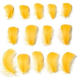 300pcs Golden Yellow Feathers 2-3 Inches Bulk