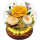 Eascor Preserved Rose Forever Flowers in Glass Dome Gifts for Women, Long-Lasting Real Flowers, Eternal Rose Birthday Gifts for Mom Valentines Day Anniversary for Wife Girlfriend