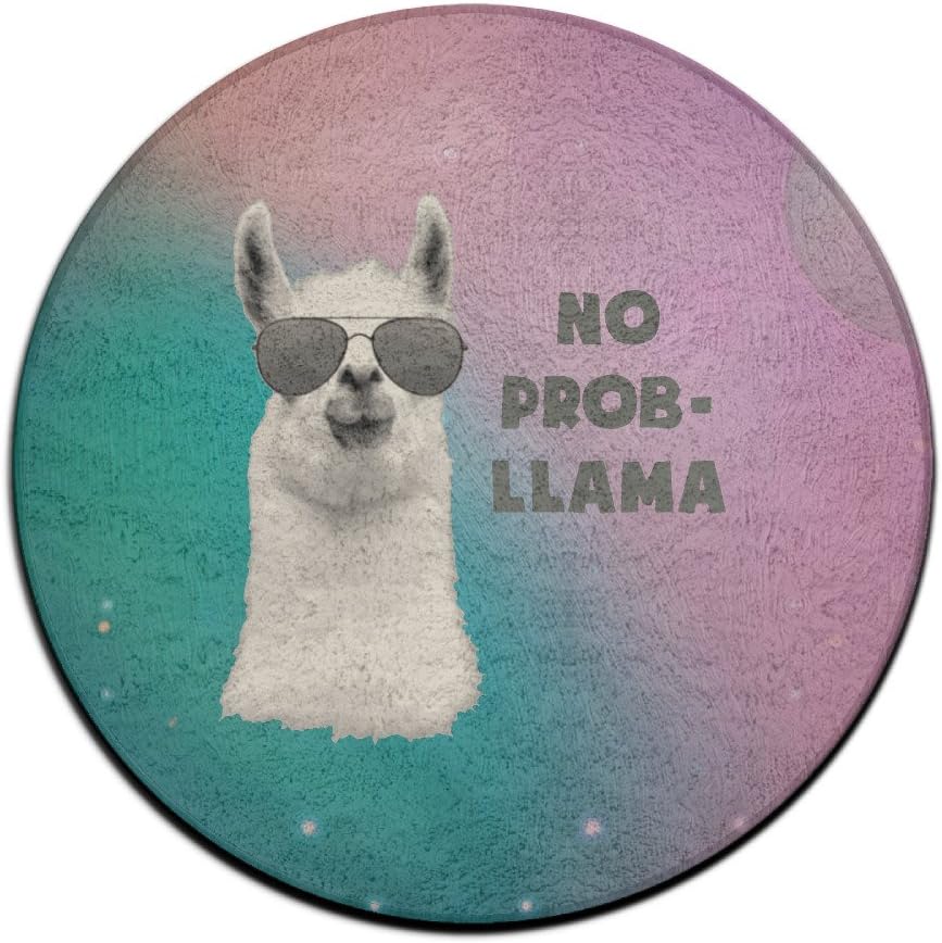 No Problem Llama Poster Doormat Entrance Mat Floor Mat Rug Indoor/Outdoor/Front Door Mats Non Slip