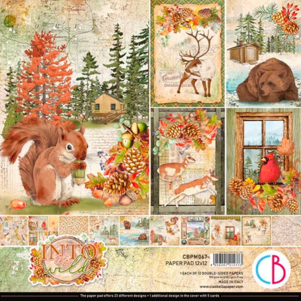 Ciao Bella Into The Wild 12"x12" Paper Pad