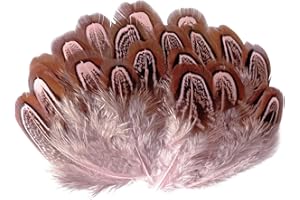 LWINGFLYER 100pcs 2"-3" Natural Pheasant Feathers Fluffy Spotted Plumage Feather for Dream Catcher Crafts Sewing Clothing Decoration (Pink)