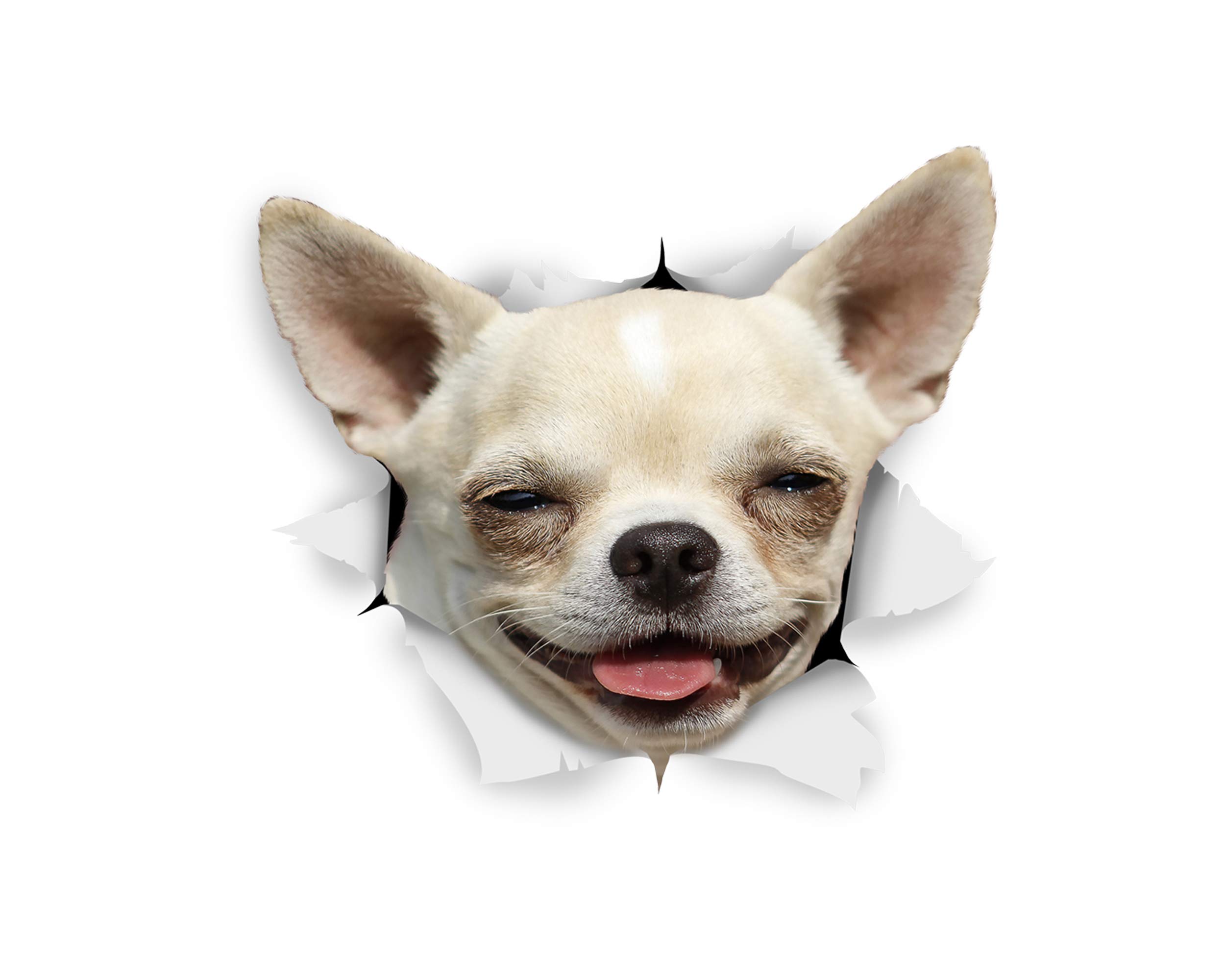 Winston & Bear 3D Dog Stickers - 2 Pack - Happy Chihuahua for Wall, Fridge, Toilet and More - Retail Packaged Happy Chihuahua Dog Stickers