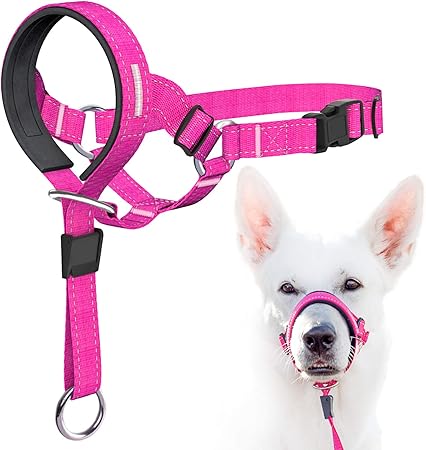 dog head halter amazon