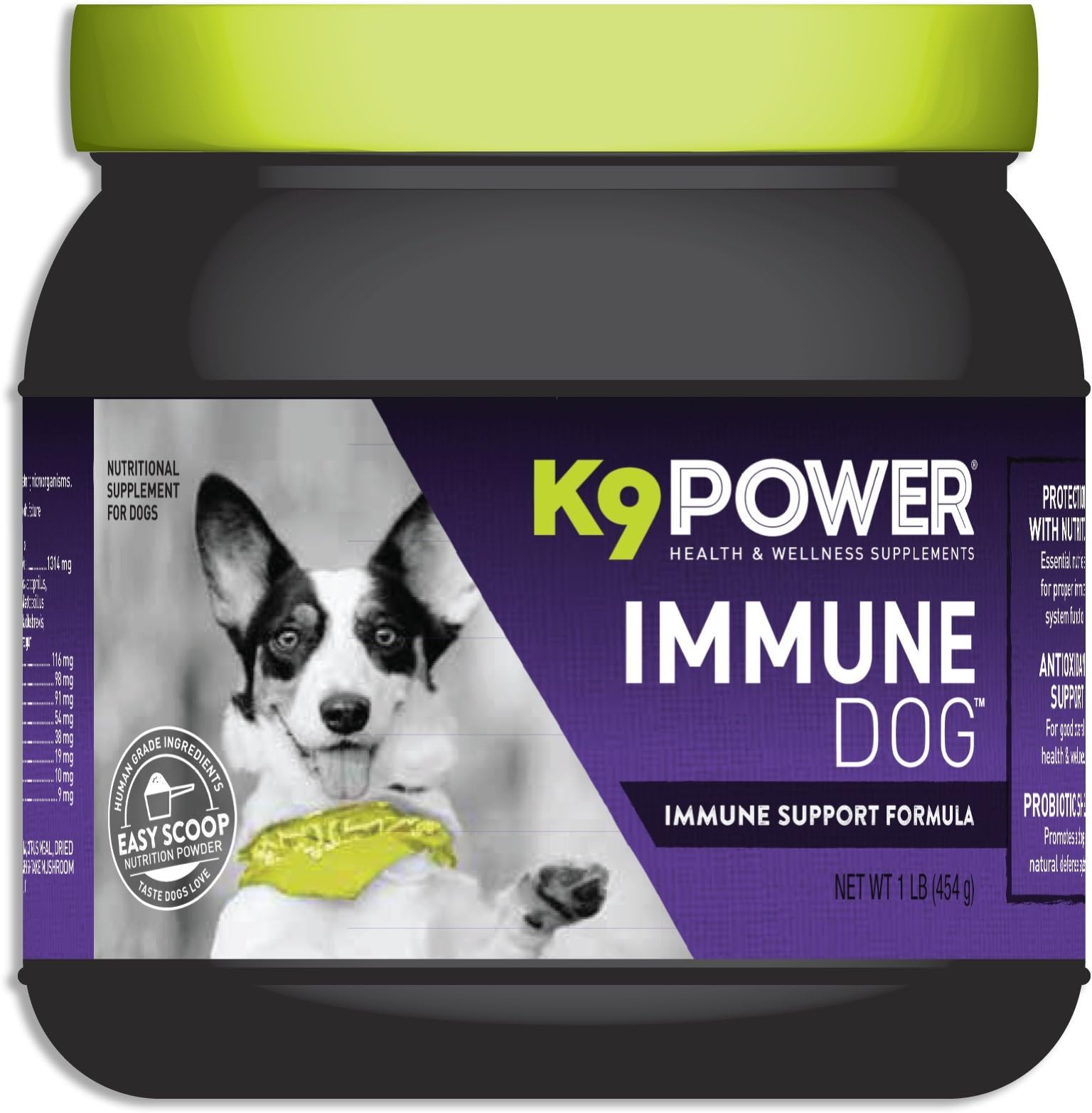 K9-Power Immune Dog - Immune System Support for Dogs - 1 Pound