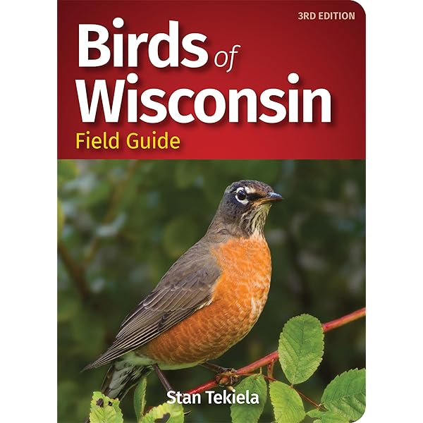 Birds of the Midwest: Identify Backyard Birds with Ease