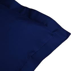 BEDSUM 2 Pcs Microfiber European Pillow