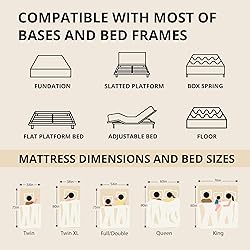 EGOHOME 14 Inch King Size Memory Foam Mattress for