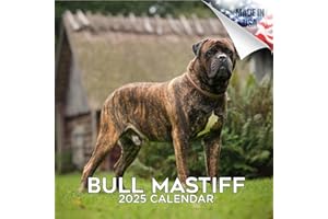 MEGACALENDARS 2024 2025 Bull Mastiff Calendar - Dog Breed Monthly Wall Calendar - 12 x 24 Open - Thick No-Bleed Paper - Giftable - Academic Teacher's Planner Calendar Organizing & Planning - Made in USA