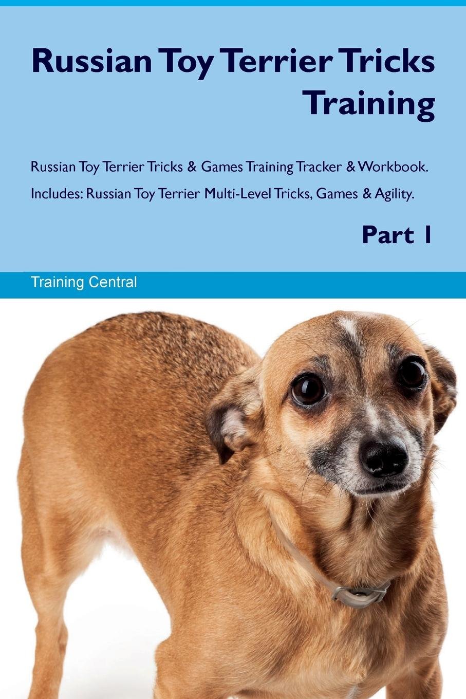 russian tracker dog