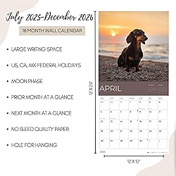 July 2025- December 2026 Dachshund Wall Calendar 18