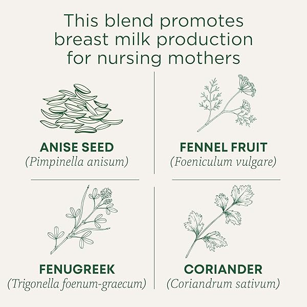TRADITIONAL MEDICINALS ORGANIC MOTHER’S MILK WOMEN’S TEA 32 COUNT (PACK OF 1)