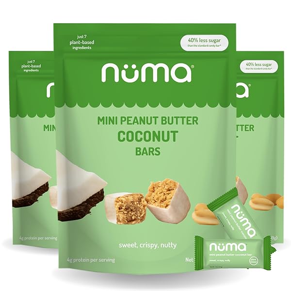 NUMA FOODS MINI COCONUT PEANUT BUTTER BARS –...
