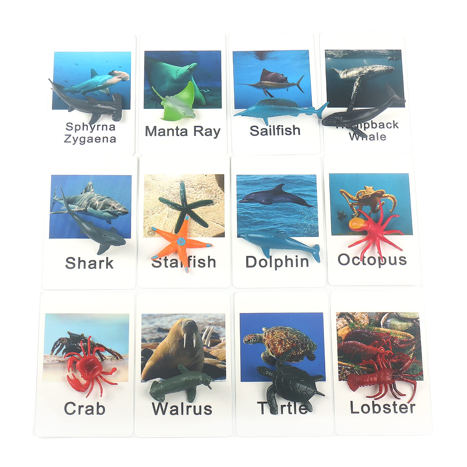 MEROCO Montessori Animal Match Game Cards Marine Animal Matching Montessori Language Materials Toddlers Preschool Educational Learning Toys NEWT011