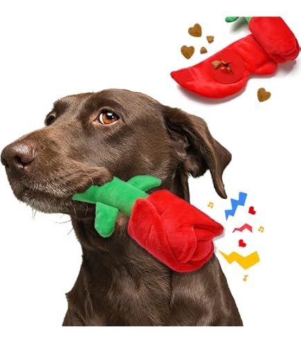 Fringe Studio Plush Dog Toy - My Heart Pops For You With Squeaker & Crinkle - View #9