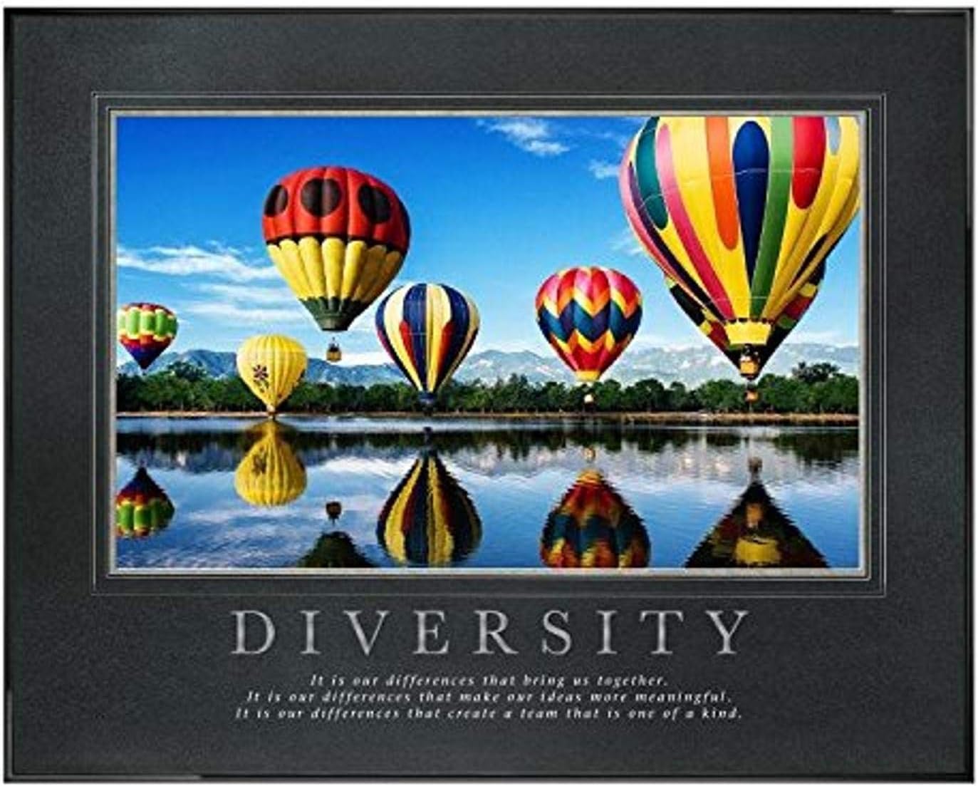 Successories .25 in. Black Aluminum Frame, Gunmetal Mats with Foil Stamping-Diversity Balloons Motivational Poster