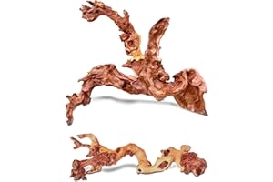 HEMYIS Natural Wood Driftwood Coral Driftwood for Aquarium Fish Tank Decor,Assorted Trunk Driftwood Branch for Reptile Decor (COL-SHM Driftwood Small (10 to13 Inch)-Pack of 2)