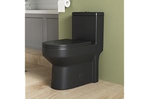 DeerValley Compact One Piece Toilet Black Toilet,Elongated ADA Comfort Height, Dual Flush 1.28 GPF, Soft Close Seat 12" Rough
