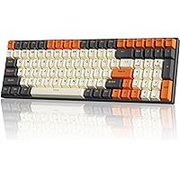 RK ROYAL KLUDGE RK100 Wireless Mechanical Keyboard, Bluetooth5.1/2.4G/Wired 96% Full Size 100-Key Hot Swappable Gaming Keyboa