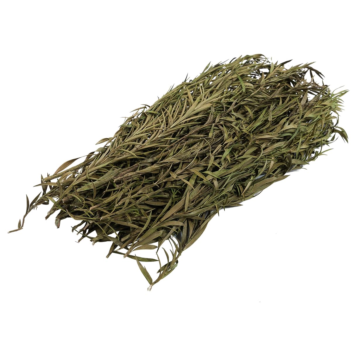 Tiardey Static Grass Tuft, Green Model Grass Tufts Railway Artificial Grass Long Shrub Vegetation Groups For DIY Architecture Building Model Railway Train Diorama Garden Scenery