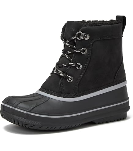Amazon.com | Lands display picture 1