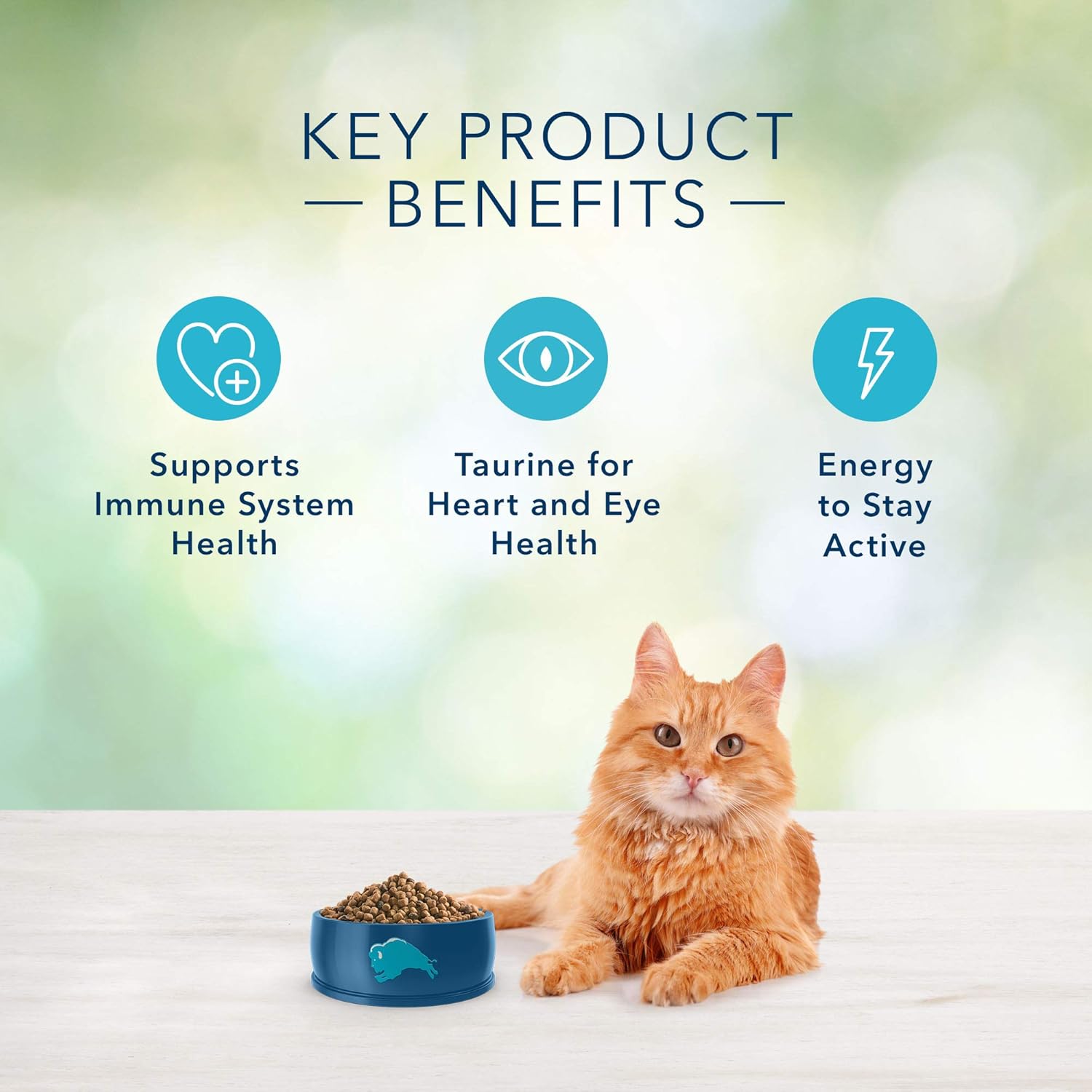 Blue Buffalo Freedom Grain Free Natural Indoor Mature Dry Cat Food