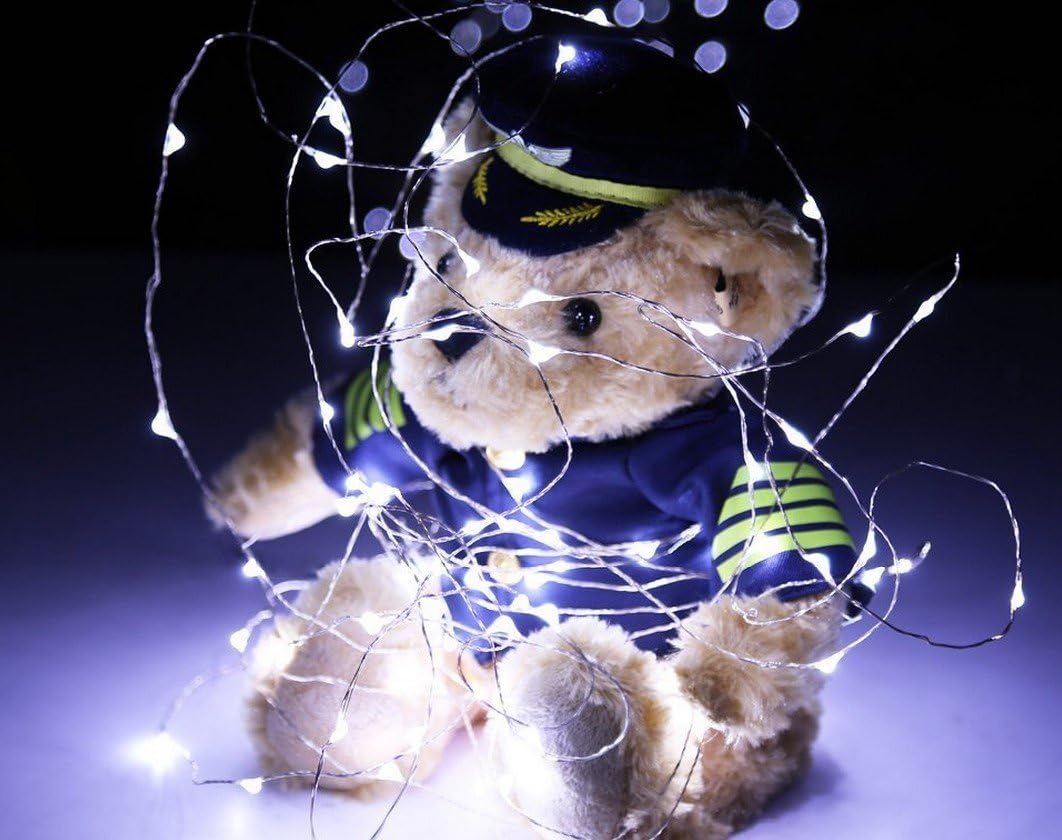 Timewanderer 5m/16.4Ft 50 Led String Starry Fairy Light AA Battery Operated Decorative Bright Micro Ultra Thin LED Lights on Silver Wire for Christmas DIY Decoration (White) - Image 3