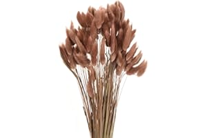 MECCANIXITY 120pcs Natural Rabbit Bunny Tails Dried Flowers 17" Mini Pampas Grass Lagurus Ovatus Bunch for Floral Wedding Dec