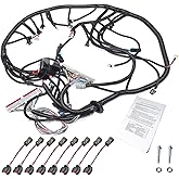 ls Engine Wiring Harness Compatible with 1999-2006 Drive by Cable 4L60E | DBC LS1 4.8 5.3 6.0 Vortec, 5.3 Wiring Harness, with Wiring Guide Manual