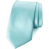 Spring Notion Men's Solid Color Satin Microfiber Tie, Regular and Skinny Width