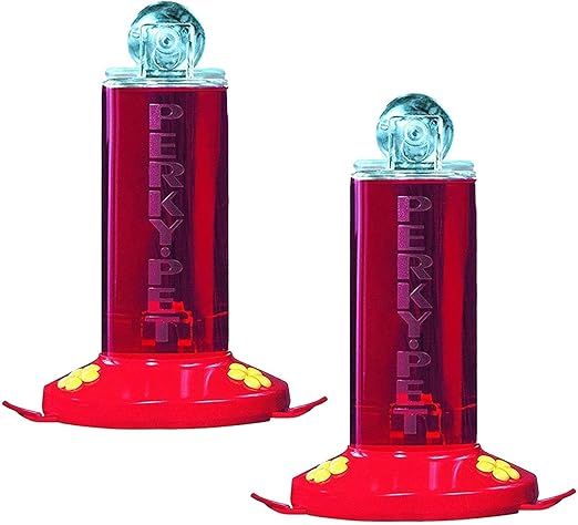 Amazon Com Perky Pet Window Mount Hummingbird Feeder Iridescent