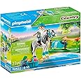 Playmobil Collectible ClassicPony Toy