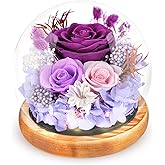 Preserved Flowers Rose in Glass Dome Forever Flowers Valentines Day Gifts for Her Eternal Roses with Light Long-Lasting Real Flowers Mothers Day Birthday for Women Mom Grandma, Purple