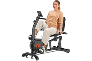 ECHANFIT Recumbent Exercise Bike for Home - 350LBS Weight Capacity, 16-Level Magnetic Resistance, Heart Rate Handle, Comfortable Seat, LCD Display, Black