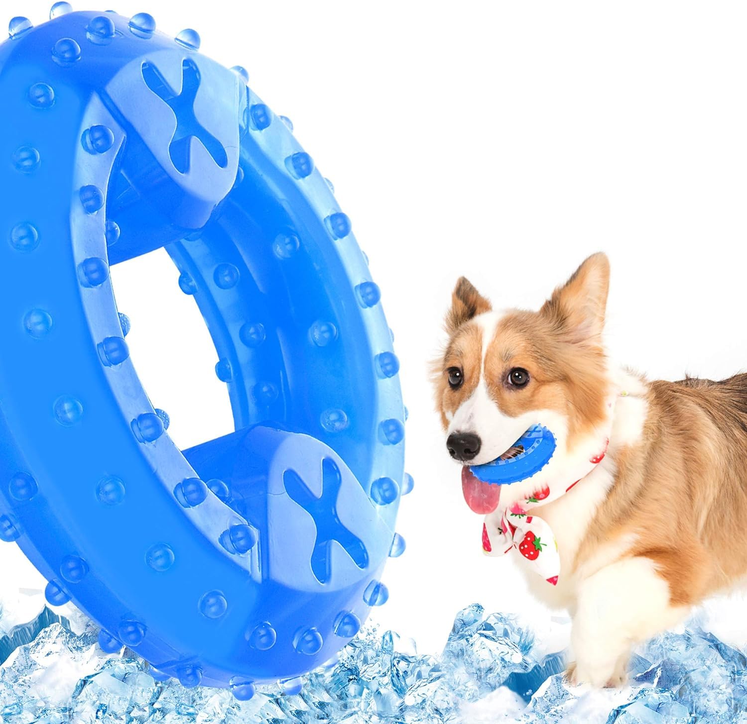 ACE Pet Teether Cooling Chew Toy for Dogs,Teething Toy for Puppies, Fit with Treats for More Fun (Chewing Ring)
