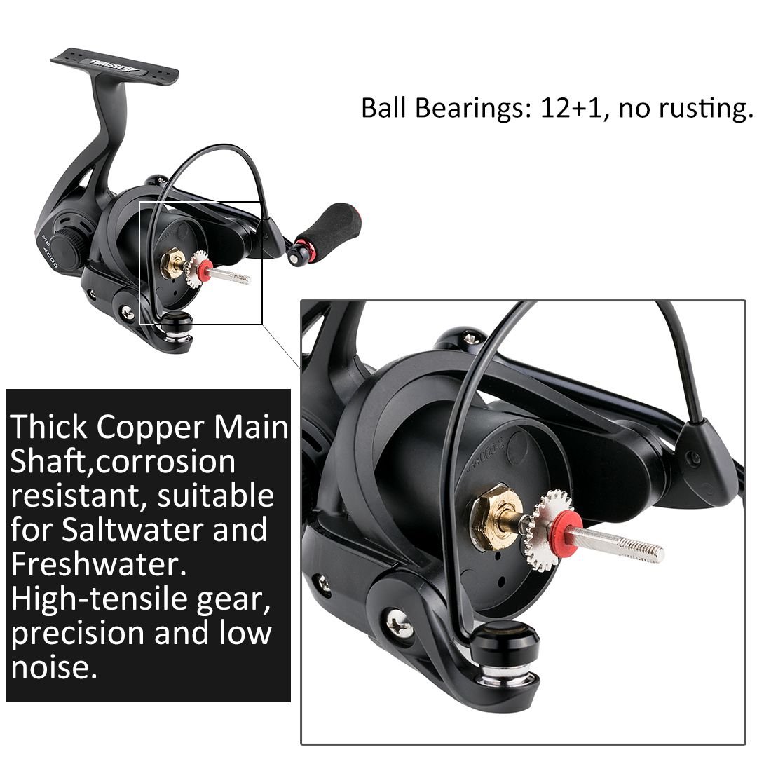 [2017 New] BLISSWILL Spinning reel Smooth 12+1BB Spinning Fishing Reel CNC Machined Carbon Fiber Drag Right/Left Retrieve Inshore Spin Reel for Saltwater and Freshwater (Model 2000)
