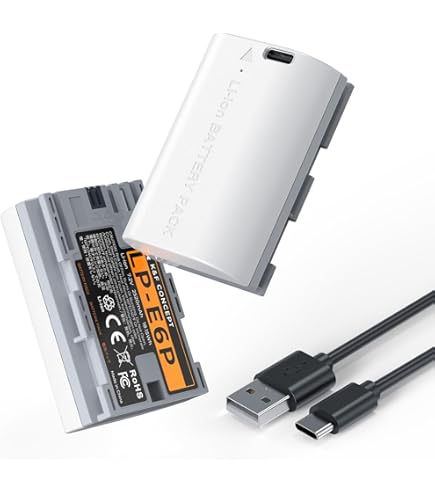 Amazon.com : VI VINTRONS LP-E4N Battery Replacement for Canon EOS
