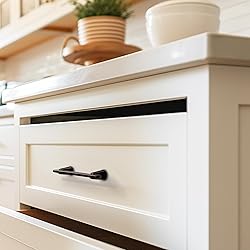 HESTIA HARDWARE 10 Pack Oil Rubbed Bronze Drawer