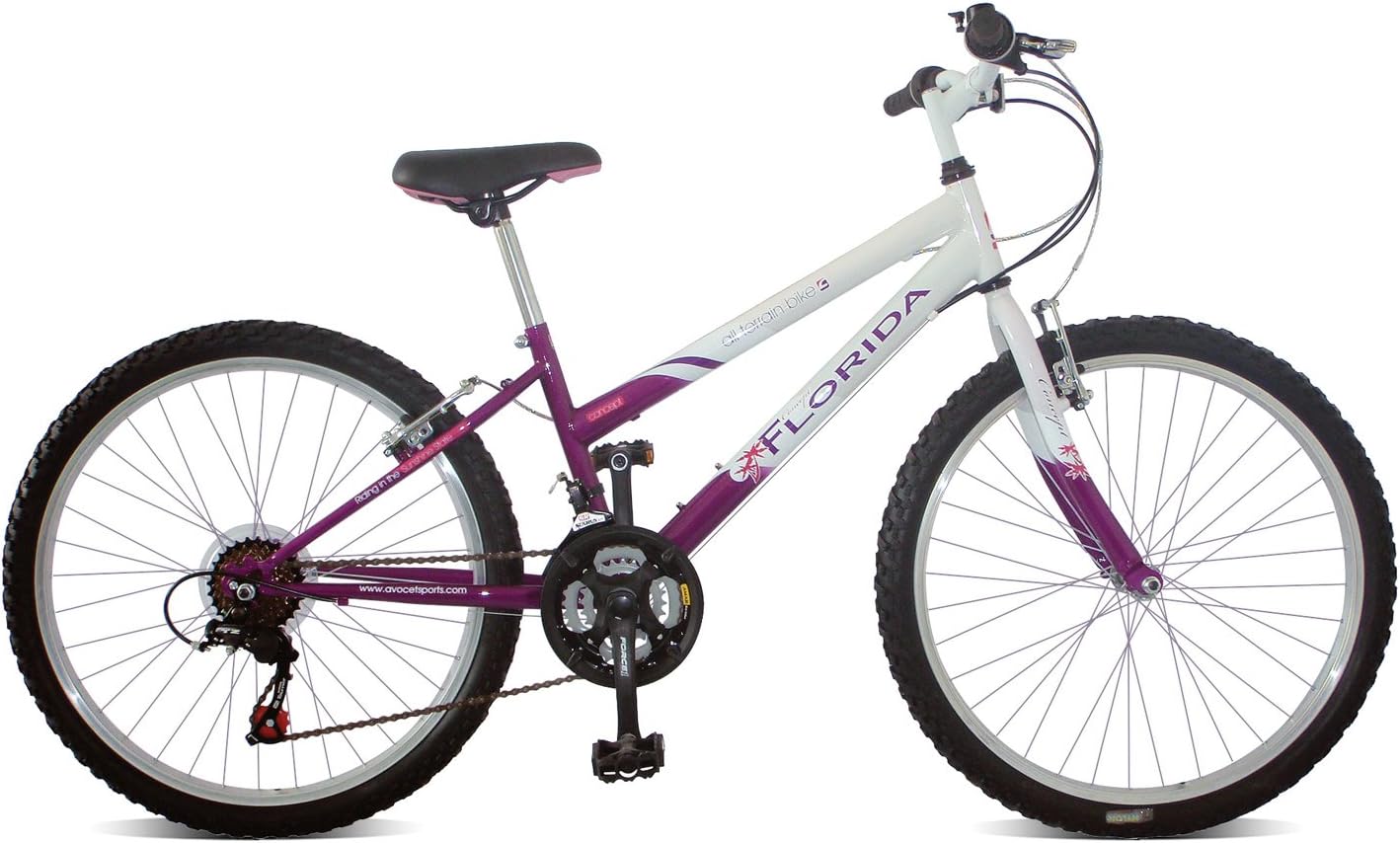 concept mountain bike