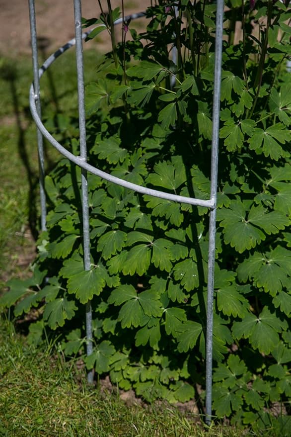 kuheiga Enrejado galvanizado Metal semicircular para Fijar ...