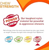 Nylabone Durable Power Dental Dog Chew Toys Twin Pack Large Beef Jerky & Chicken view 4