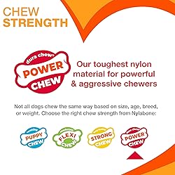 Nylabone Ergonomic Hold Wishbone Power Chew Toy for