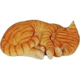 Nel Bosco Addormentato" In Scena A San Demetrio Ne' Vestini - Foto 8