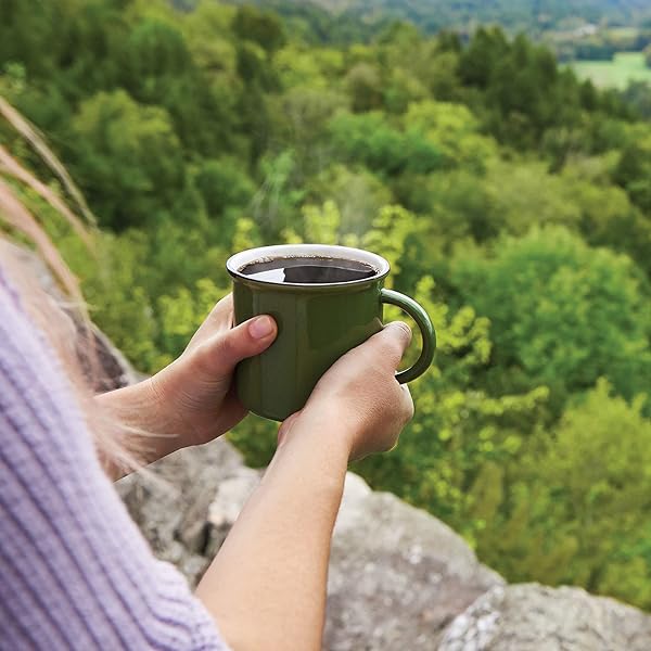 GREEN MOUNTAIN COFFEE ROASTERS WILD MOUNTAIN BLUEBERRY, GROUND COFFEE, FLAVORED LIGHT ROAST, BAGGED 12 OZ, 1 COUNT