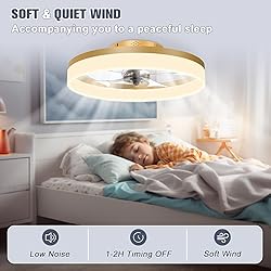 VOLISUN Low Profile Ceiling Fans with Lights and