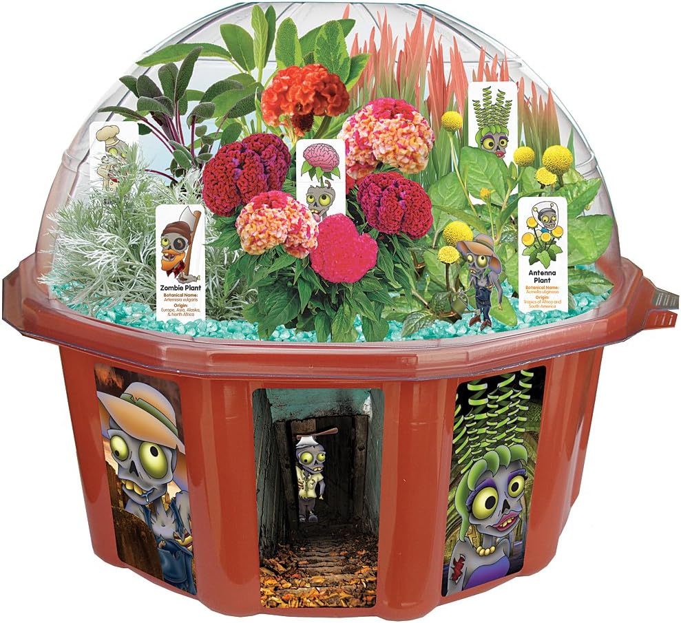 Zombie Plants & Flowers Farm Dome Indoor Terrarium With Illuminating Gravel
