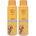 Burt's Bees for Pets Tearless Puppy Shampoo with Buttermilk, 2pk, 95% Natural Origin Formulas, Best Tearless Shampoo for Puppies - Gentle Dog and Puppy Shampoo Tear Free, 16 oz - 2 Pack
