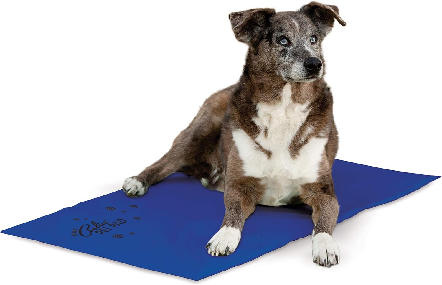 K&H Coolin' Pet Pad for Dog X-Large, Blue, 97 x 69 x 3 cm (L x W x H)