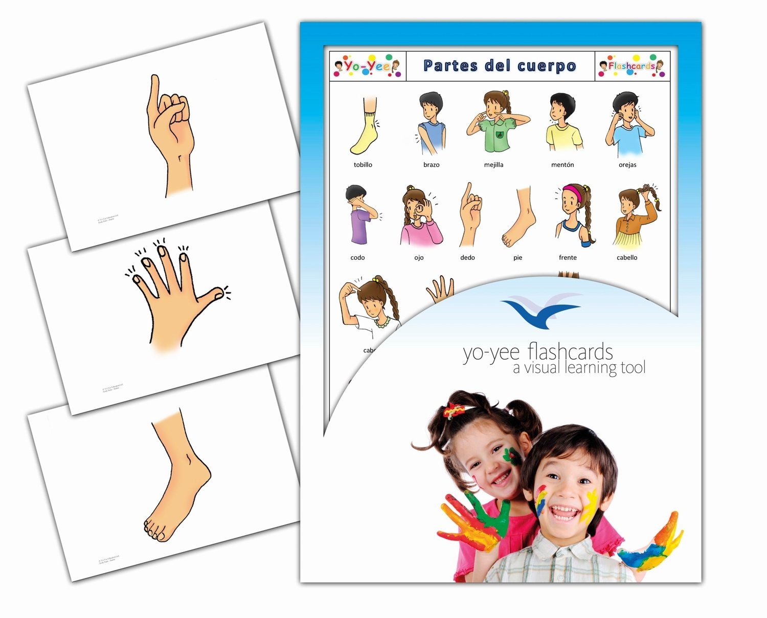 Buy Tarjetas de vocabulario Partes del Cuerpo Body Parts Flashcards