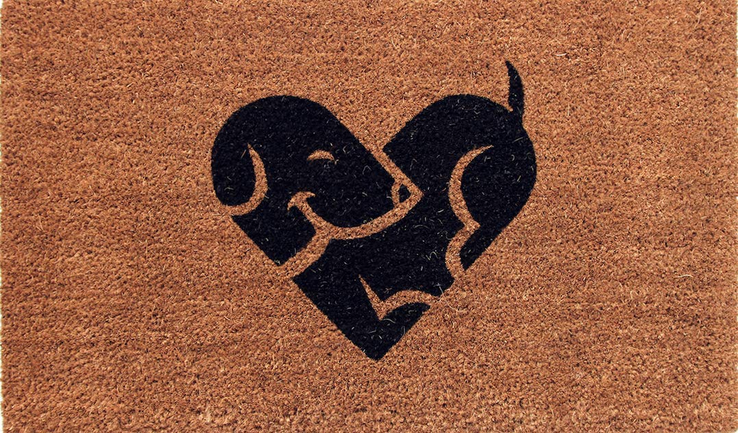 Coco&Coir Natural Coir | Non-Slip | Thick Coir | Premium Quality | Rubber Backed | Eco-Friendly | Indoor | Outdoor | Heavy Duty | Puppy, Dog, Pet Themed |Entrance Door Mat | 45 x 75 cm (Puppy Love)
