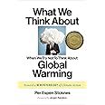 What We Think About When We Try Not To Think About Global Warming: Toward a New Psychology of Climate Action